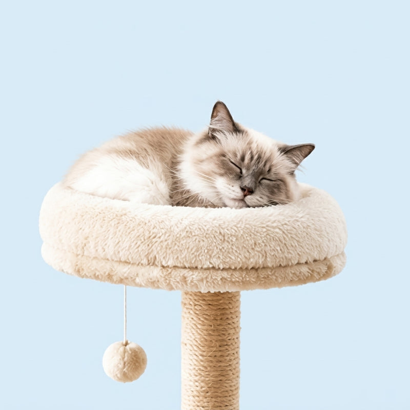 Un cocon douillet en hauteur