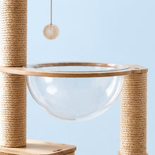 Arbre à chat en bois naturel avec hamac