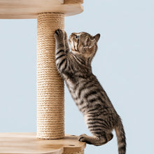 Arbre à chat en bois naturel avec hamac