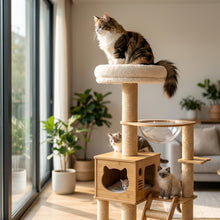 Arbre à chat en bois naturel avec hamac